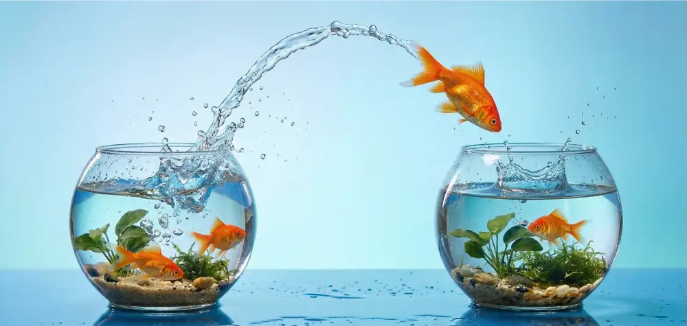 career change coaching